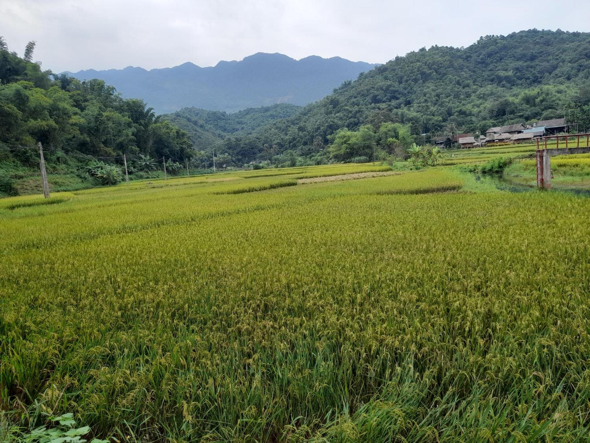 Thao Ly Homestay Mai Chau Hòa Bình Eksteriør bilde