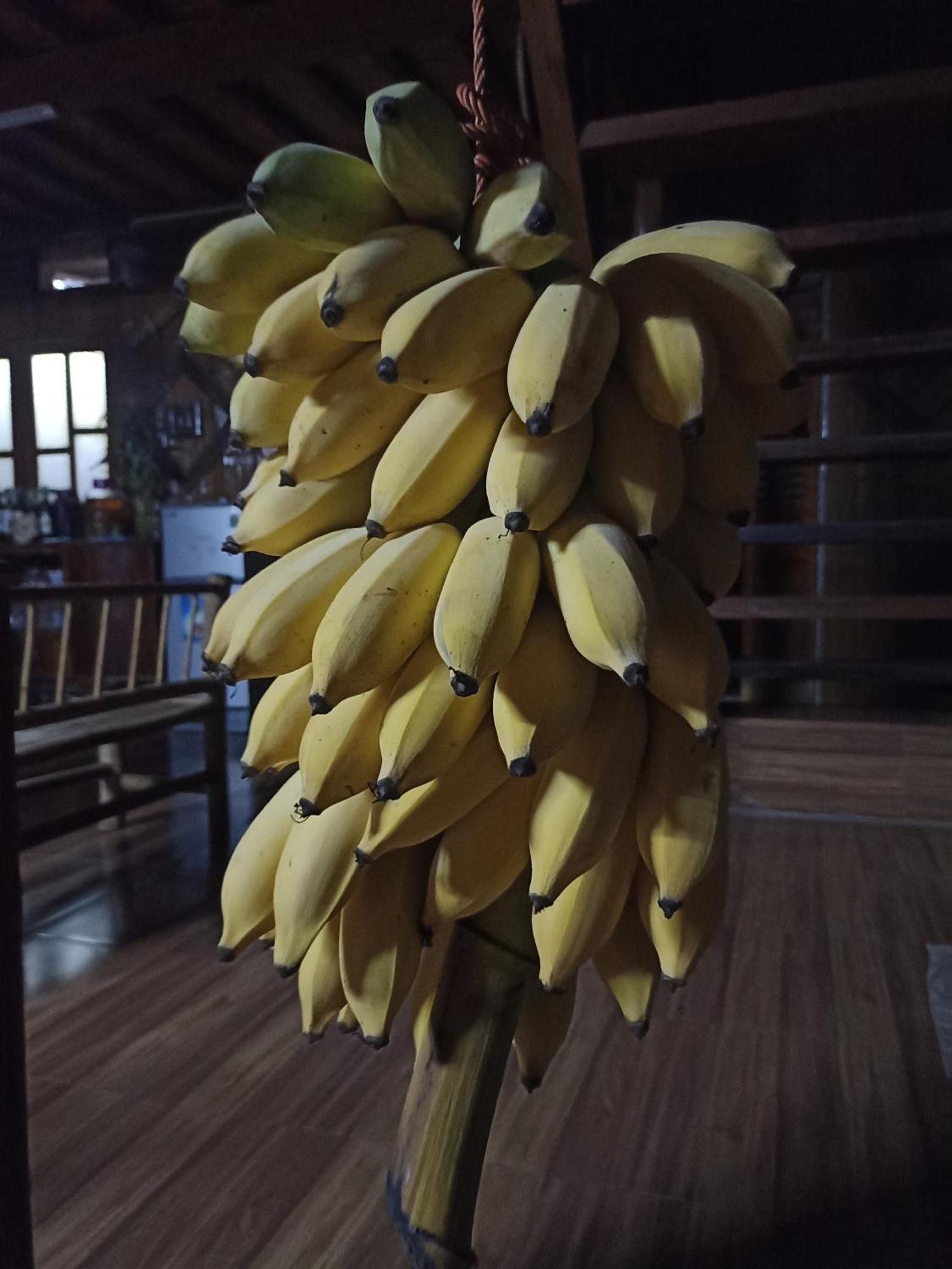 Thao Ly Homestay Mai Chau Hòa Bình Eksteriør bilde