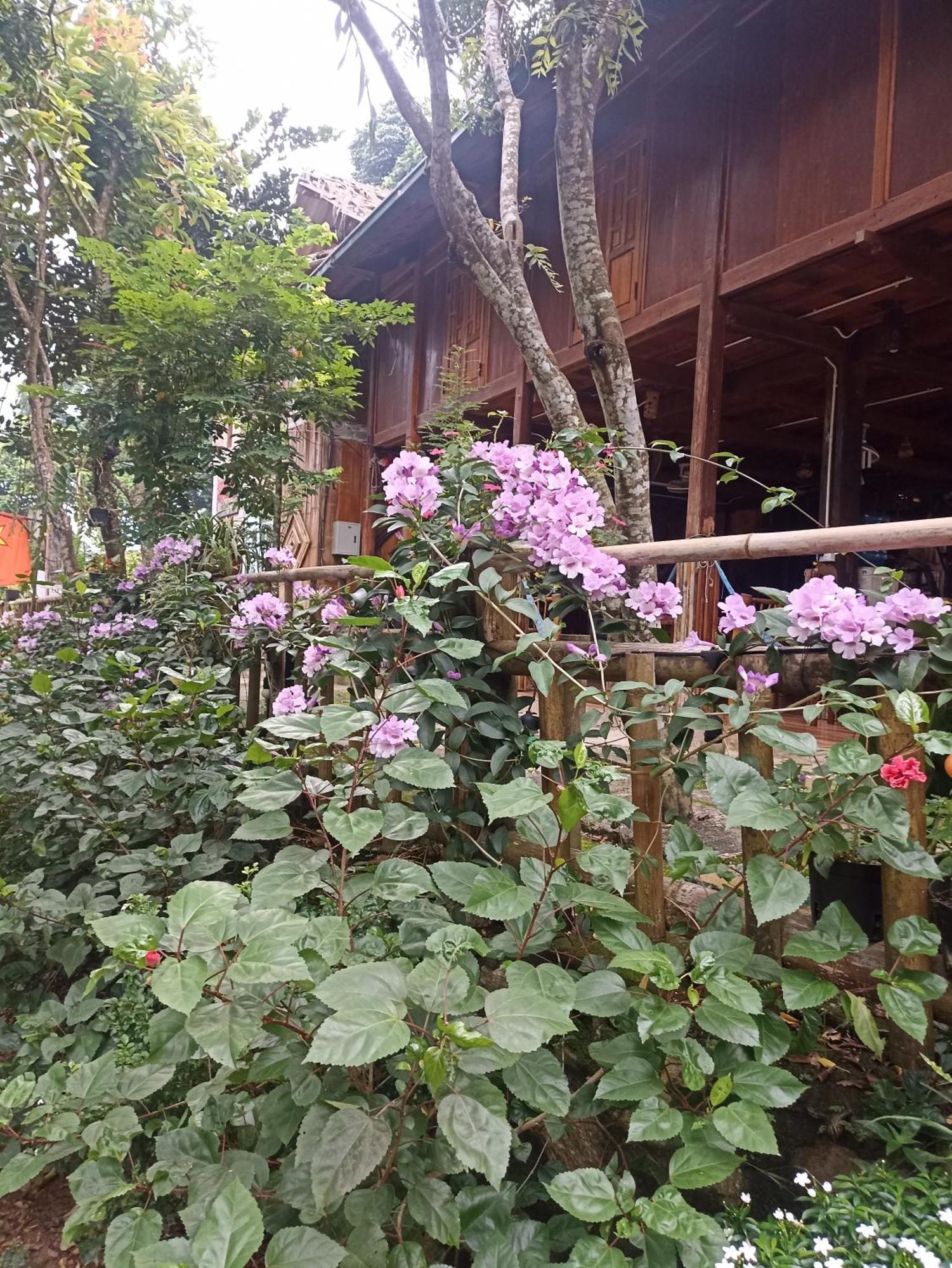 Thao Ly Homestay Mai Chau Hòa Bình Eksteriør bilde