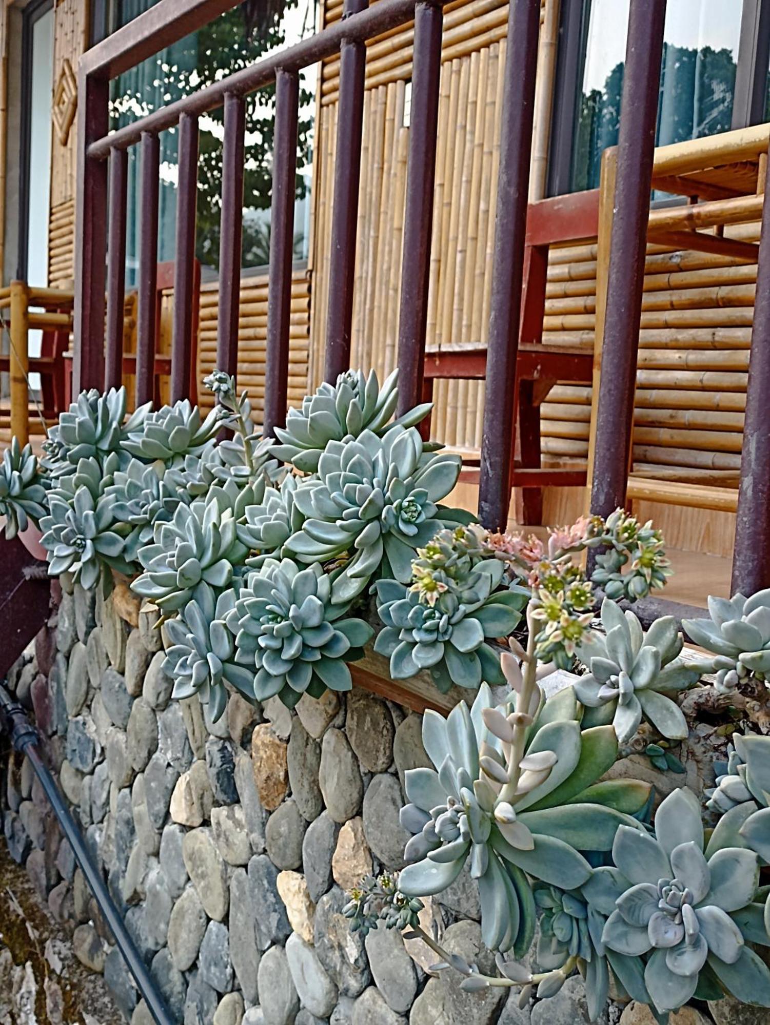 Thao Ly Homestay Mai Chau Hòa Bình Eksteriør bilde